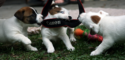 110521_riiviot canon.jpg - Sisters Sointu, Sade & Alma :)
